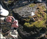 Bifogad bild: norge2010augusti169.jpg